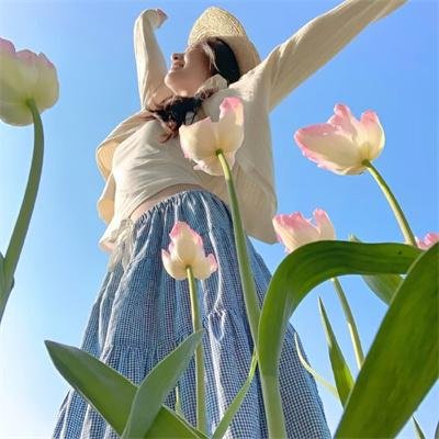 沙普的伙伴