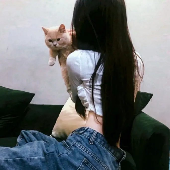 纸牌屋